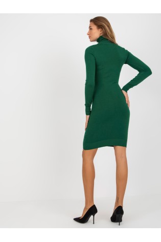 Žalia suknelė aukštu kaklu-NM-SK-NG-2309.17X