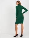 Žalia suknelė aukštu kaklu-NM-SK-NG-2309.17X