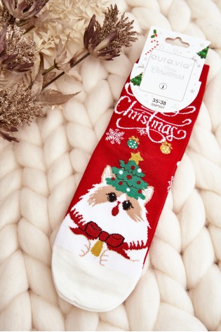 Linksmos kalėdinės kojinės su kačiuku-SK.29073/SNP507