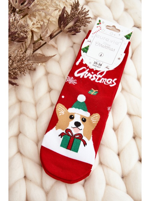 Linksmos kalėdinės kojinės su šuniuku-SK.29074/SNP507