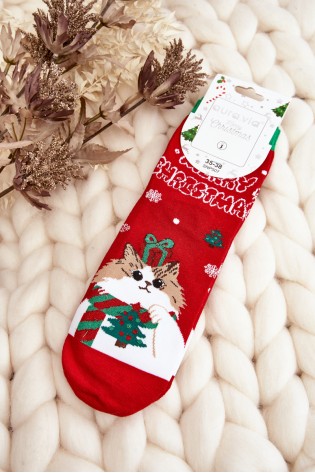 Linksmos kalėdinės kojinės su kačiuku-SK.29076/SNP507