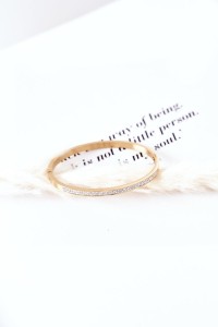 Steel Bracelet With Cubic Zirconia Gold-BL1221-103 GOLD
